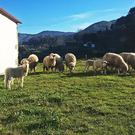 Casas Da Loureira - Casa Do Pote Séjour à la campagne
